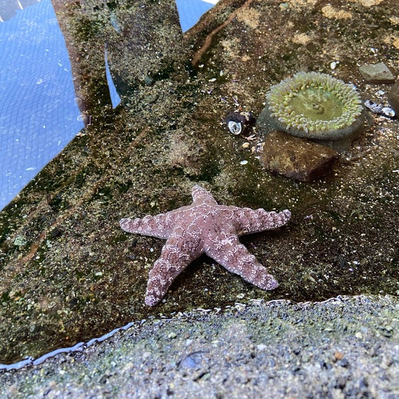 Meet your Posher, Jennifer - Picture 1 of 1